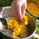 ssf-organics-calendula-skin-repair-salve-3.jpg