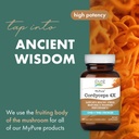 pure-essence-labs-mypure-cordyceps-4x-mu-2.jpg