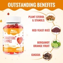 cholesterol-supplements-with-1500-mg-pla-3.jpg