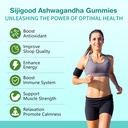 ashwagandha-gummies-with-l-theanine-ashw-4.jpg