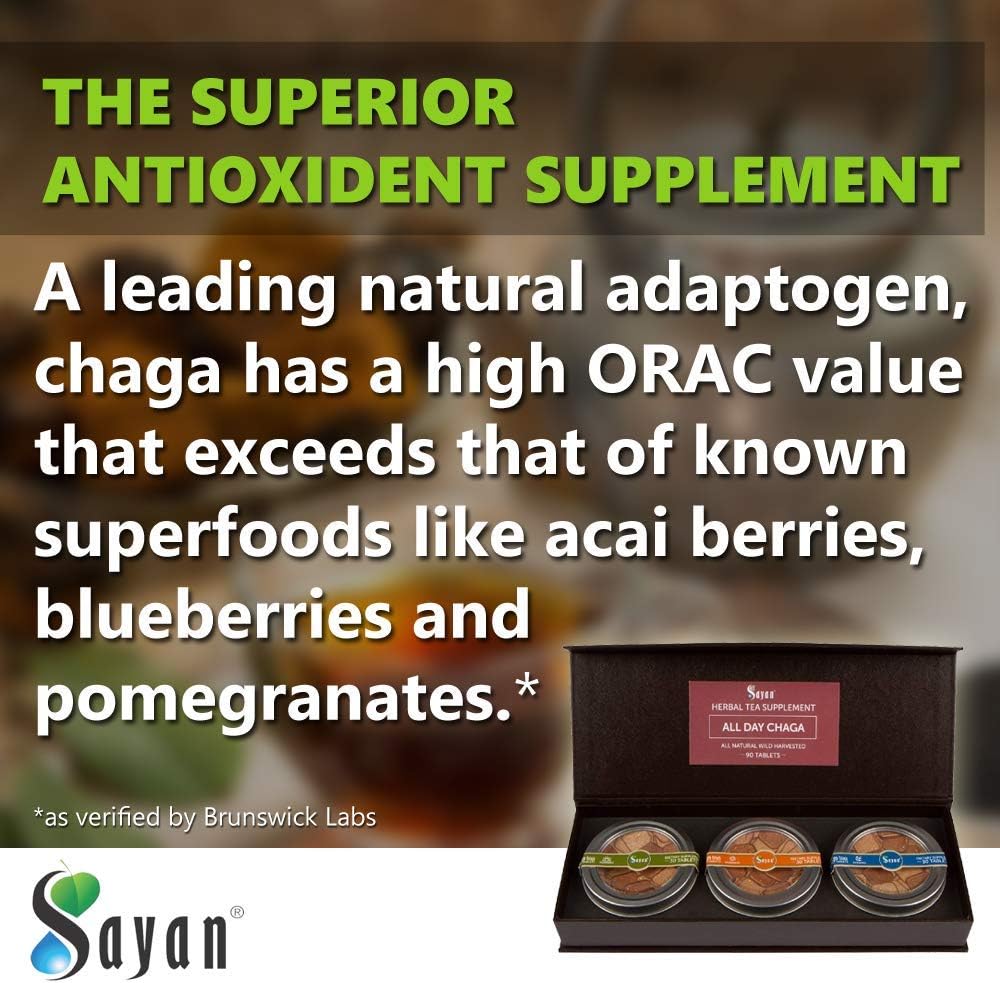 sayan-siberian-all-day-set-instant-chaga-4.jpg