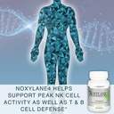 lane-innovative---noxylane4-immune-prote-6.jpg