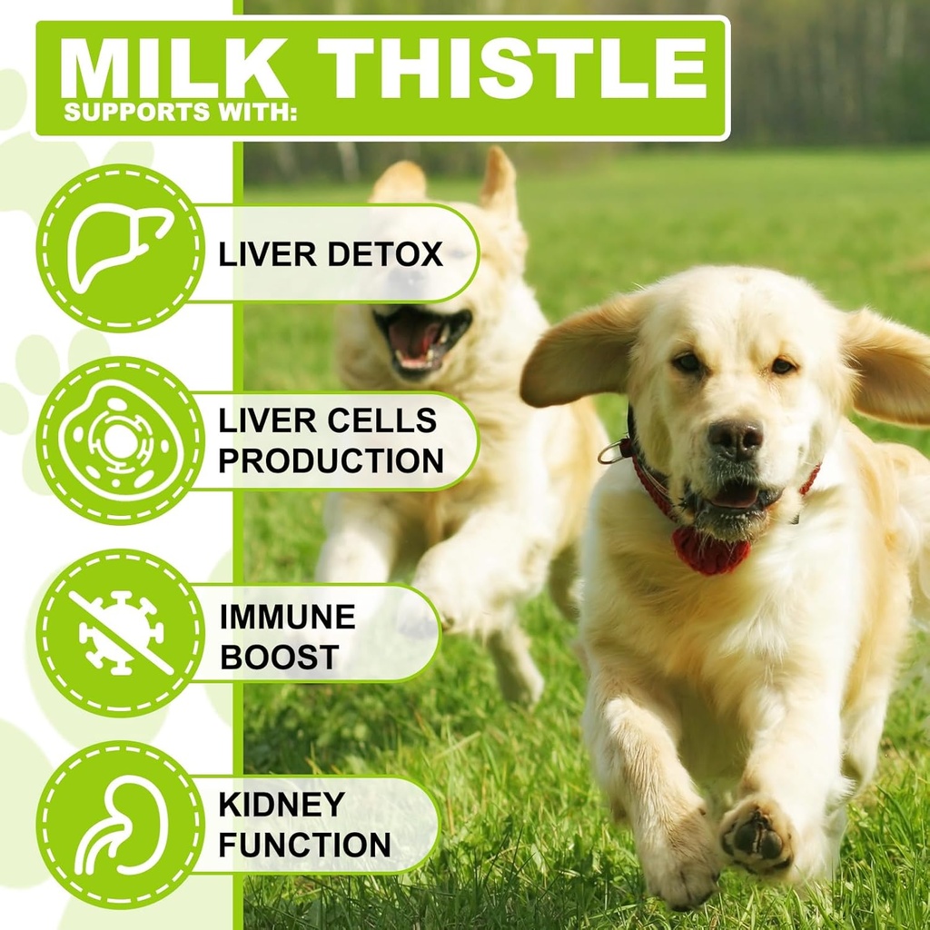 milk-thistle-for-dogs---liver-support-su-3.jpg