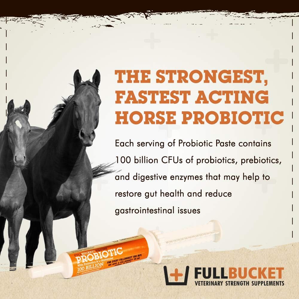fullbucket-health-equine-probiotic-paste-2.jpg