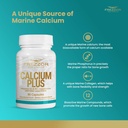 frezzor-calcium-plus-with-uaf1000-super--6.jpg