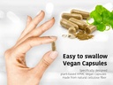 dr-wakdes-turmeric-capsules-curcuma-long-6.jpg