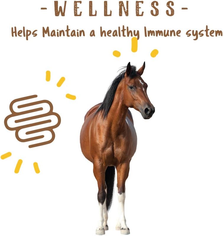 manna-pro-simply-flax-for-horses-omega-3-5.jpg