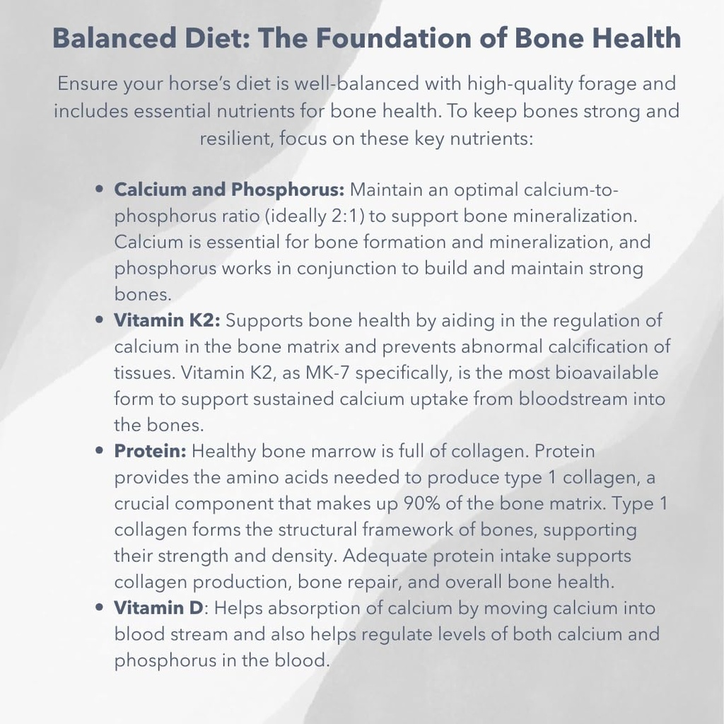 mvp-bone-max-powder-for-horse-bone-healt-3.jpg