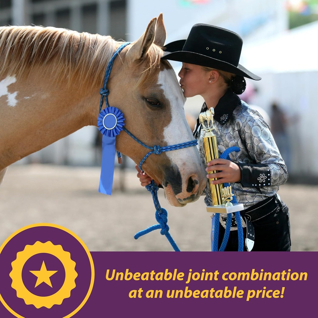 horse-health-joint-combo-classic-an-unbe-3.jpg