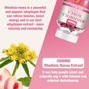 1-pack-2000mg-rhodiola-rosea-gummies---r-3.jpg