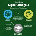 vegan-omega-3-gummies-1-pack-gaba-gummie-4.jpg