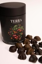 terra-supergreens-gummies-18-superfood-i-6.jpg