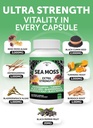 lunakai-usa-made-superfood-fruits-veggie-3.jpg