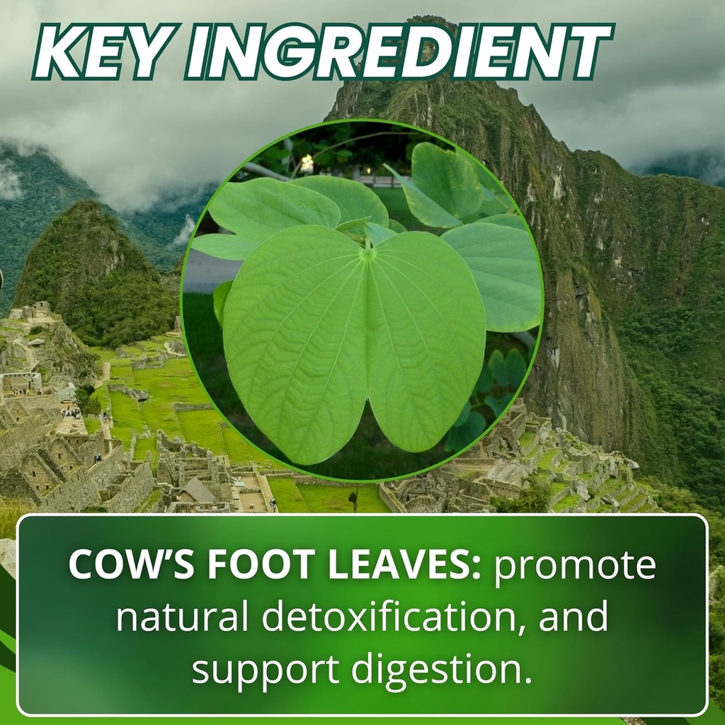 hanan-pata-de-vaca-100-capsules-supports-4.jpg