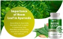 neem-tablets---100-pure-azadirachta-indi-5.jpg