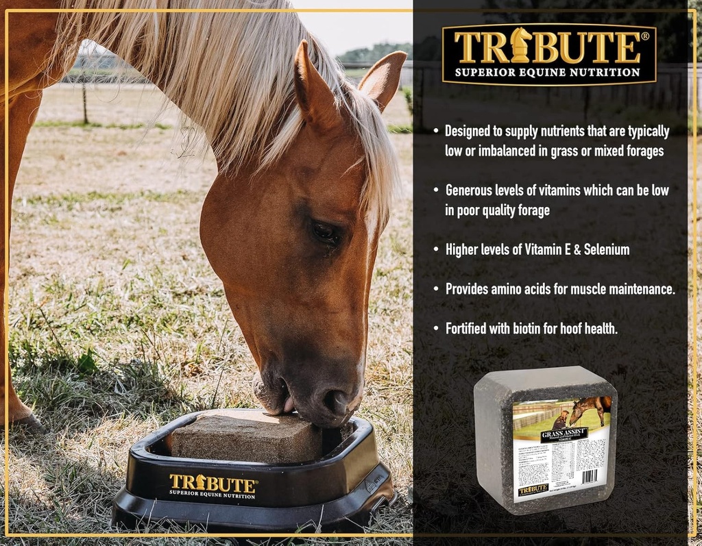 kalmbach-feeds-grass-assist-mineral-and--3.jpg