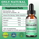 mullein-drops-for-lungs-powerful-mullein-2.jpg