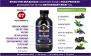immunia-67-polyphenols---elderberry-conc-3.jpg