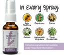 vitl-weight-loss-xl-liddell-homeopathic--4.jpg
