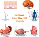 urolithin-a-supplement-1600mg-promote-mu-5.jpg