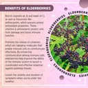 to-go-seasonal-support-delicious-vegan-g-5.jpg
