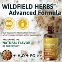 4-oz-propolis-extract-drops---propolis-t-5.jpg
