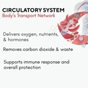 bricker-labs-travel-wellness-bundle-opti-2.jpg