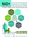 30-day-supply-nicotinamide-riboside-nr-3-5.jpg