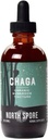 north-spore-chaga-mushroom-tincture-ener-3.jpg