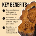 north-spore-chaga-mushroom-tincture-ener-4.jpg