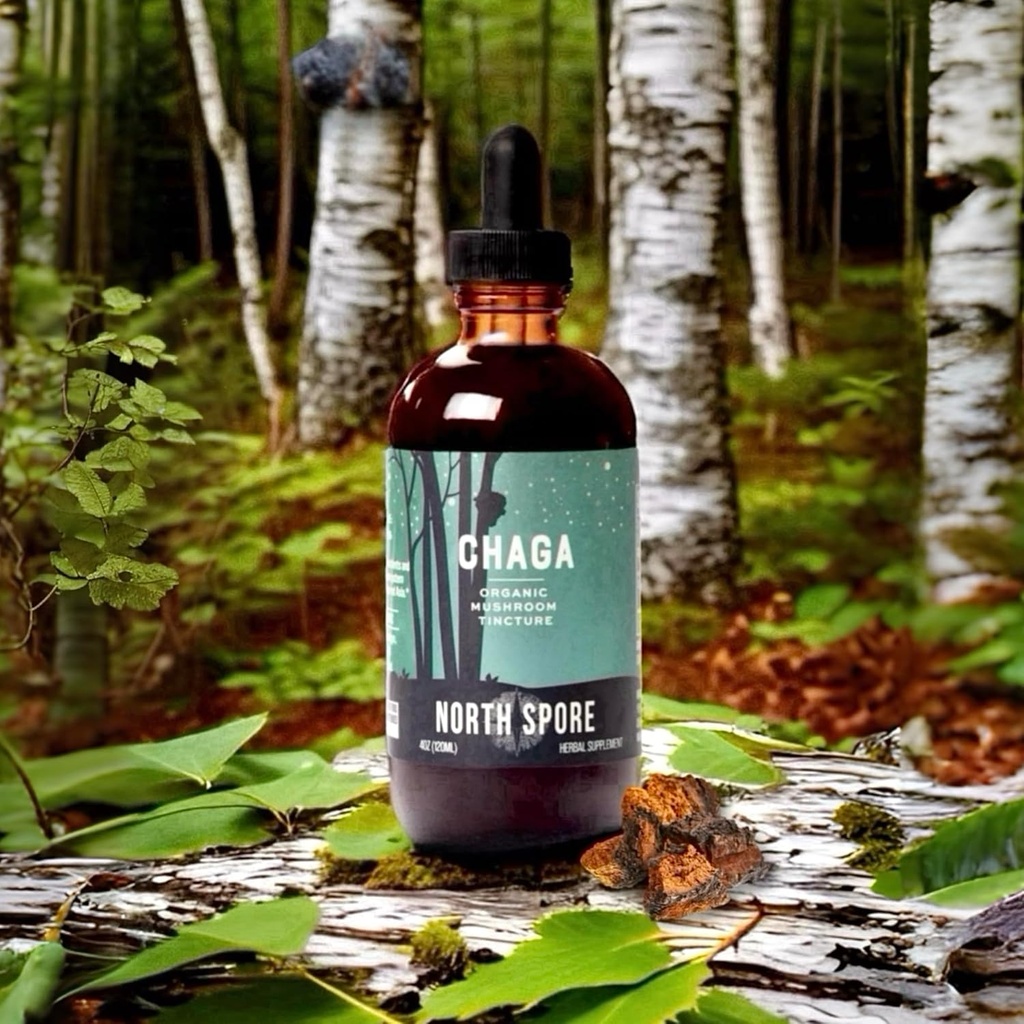 north-spore-chaga-mushroom-tincture-ener-5.jpg
