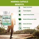 pure-organic-moringa-powder-capsules---m-5.jpg