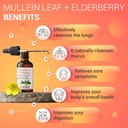 fablab-mullein-leaf-extract-with-elderbe-5.jpg
