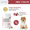 digestive-enzymes-and-probiotics-and-cra-4.jpg