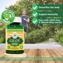organic-giloy-guduchi-powder-herbal-caps-2.jpg
