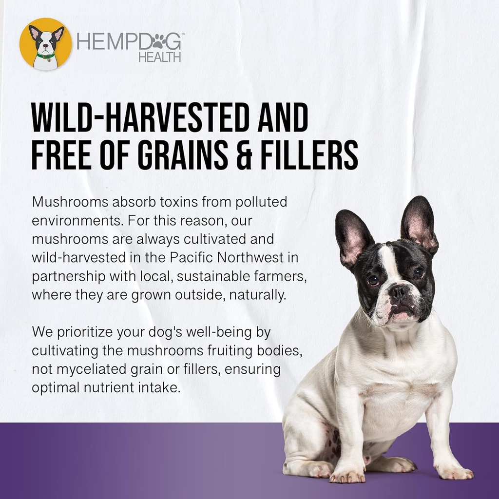 mycodog-clarity---cognitive-support-supp-6.jpg