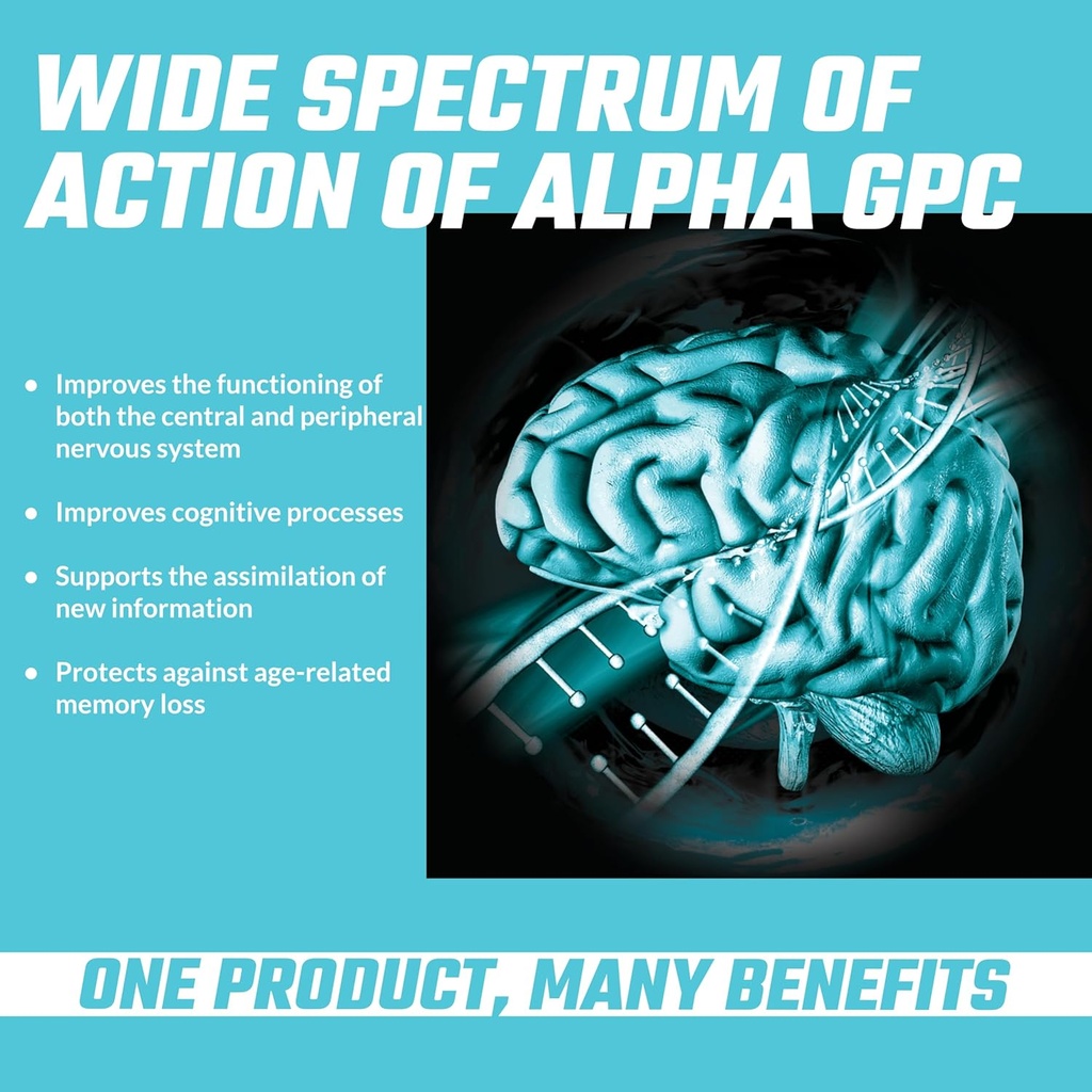 apollos-hegemony-alpha-gpc-600mg-per-dai-4.jpg