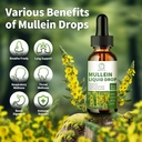 2-pack-mullein-drops-for-lungs-16-in-1-m-2.jpg