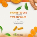 natures-base-turmeric-ginger-240-ct-prob-6.jpg
