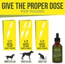 probiotics-for-dogs-and-cat-probiotics---4.jpg