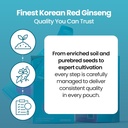 i-pass-junior-dietary-supplement--korean-4.jpg