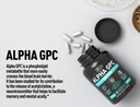 alpha-gpc-500mg-capsules-80-count-suppor-5.jpg