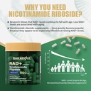 nad-supplement---liposomal-nicotinamide--5.jpg