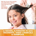 lice-comb---pack-of-12-head-lice-treatme-4.jpg