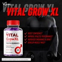 vital-grow-xl-gummies-vital-grow-xl-test-4.jpg