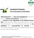 dr-matteo-bertellis-activity-lymphatic-s-4.jpg