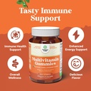 bundle-of-fiber-gummies-for-adults---chi-5.jpg
