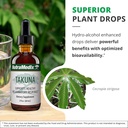 nutramedix-immune-support-supplement---m-4.jpg