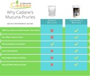organic-cadane-mucuna-pruriens-powder-1--5.jpg