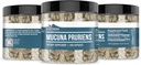earthborn-elements-mucuna-pruriens-extra-4.jpg